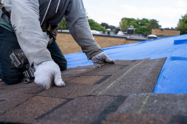 Best Roof Leak Repair  in Chanute, KS